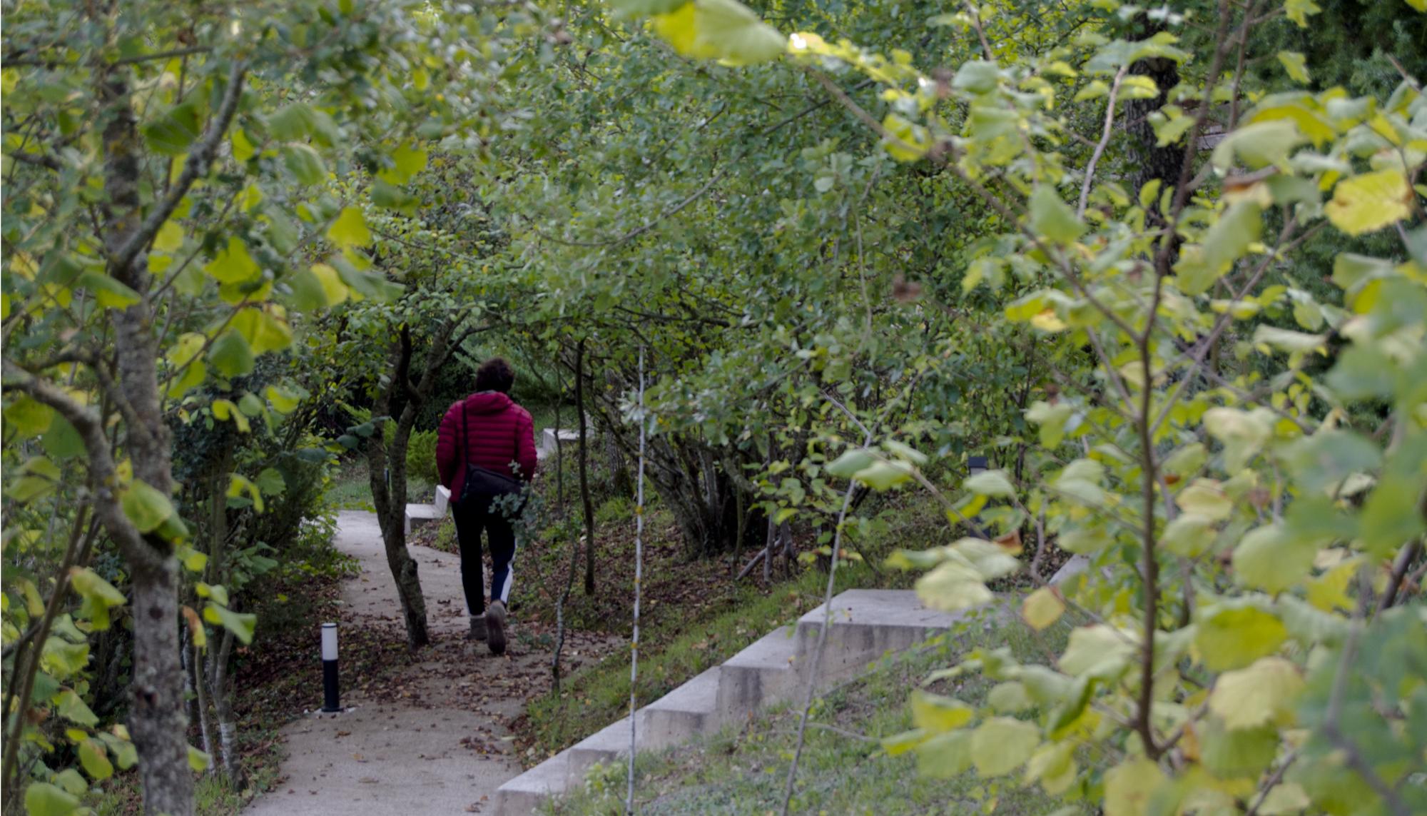 Azala Borradores del Futuro